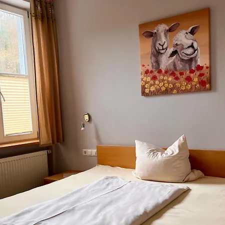 Szálloda Schuetzen Hornberg